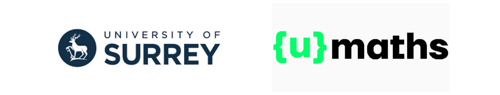 Our collaborators website banner 210 20 mm